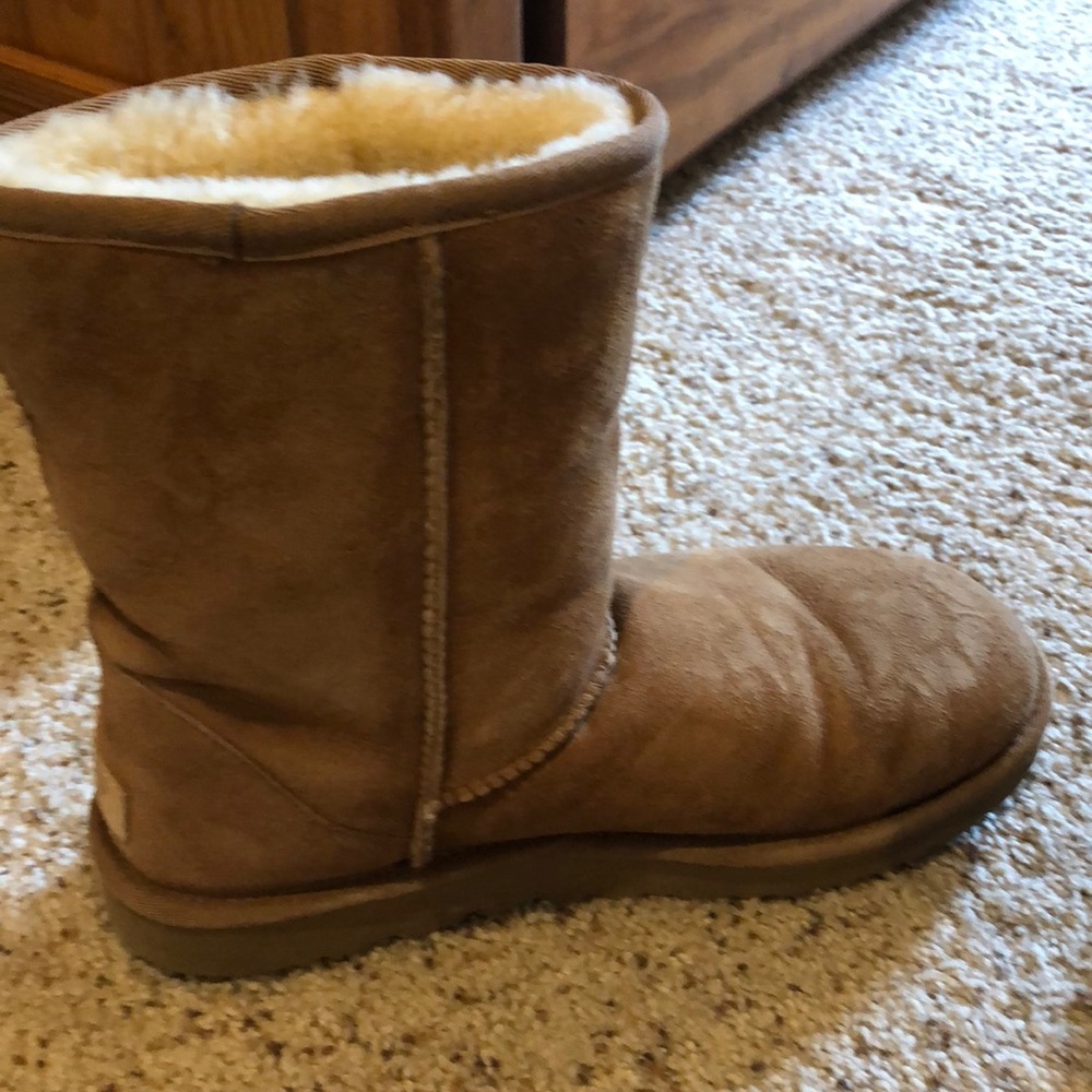 Short tan uggs - Picture 3 of 6